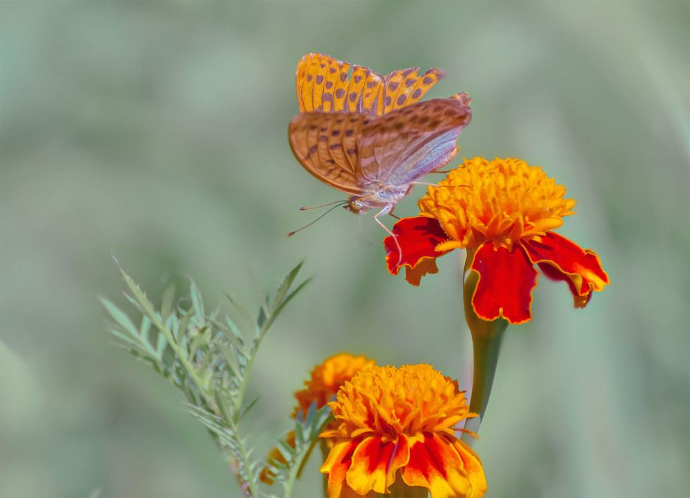 Photograph by Сергей