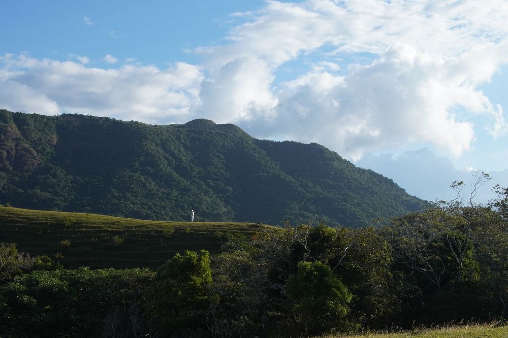 Photograph by Ali Froghi