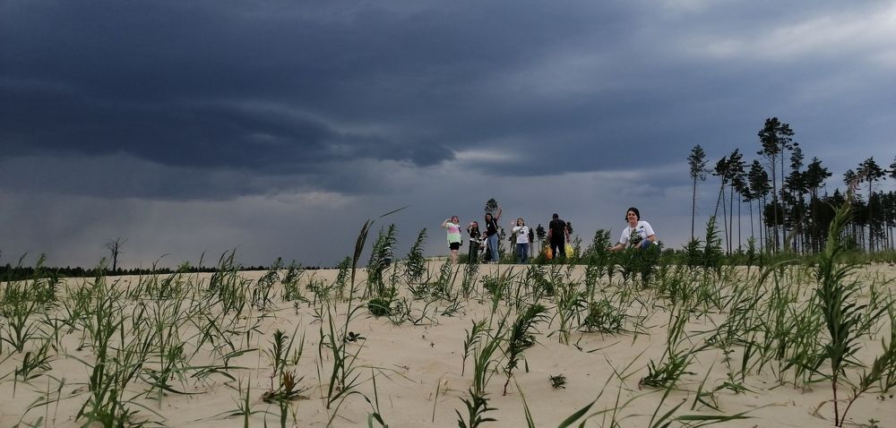 Photograph by Полина Родюкова