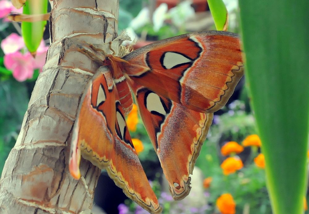 Photograph by Vladimir Iavorskii