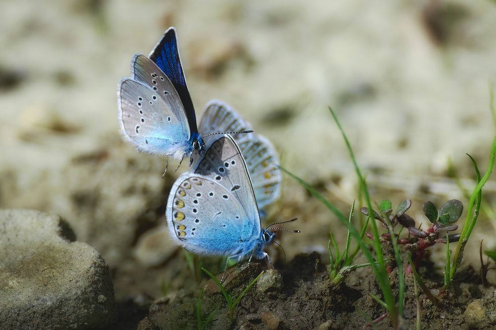 Photograph by Света Богоявленская