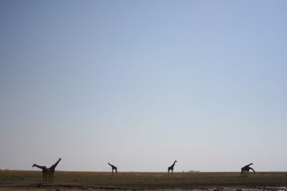 Фотография автора Grant Botha