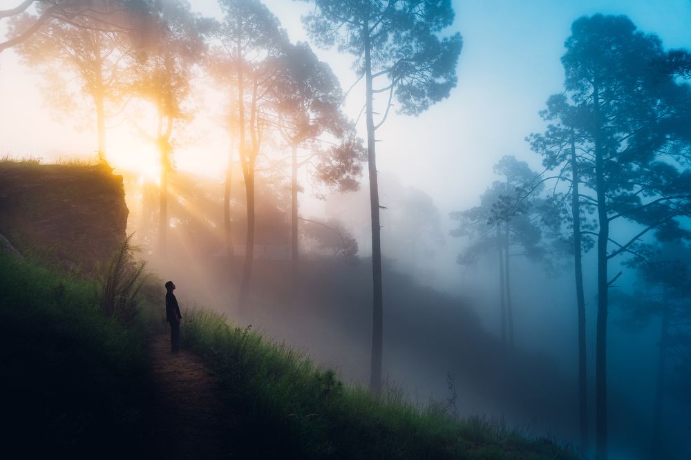 Photograph by Anuj Yadav