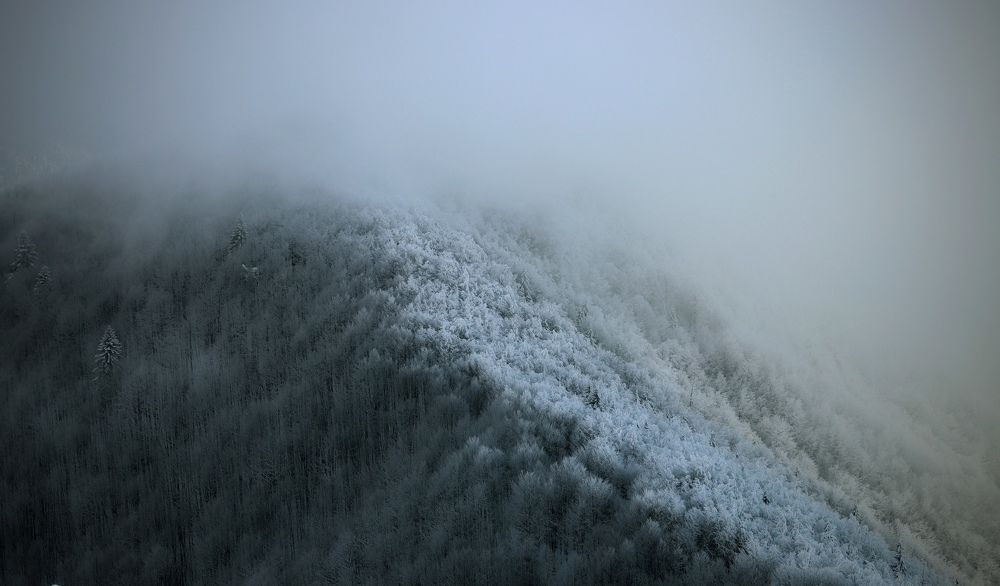 Фотография автора Sebastian Popa