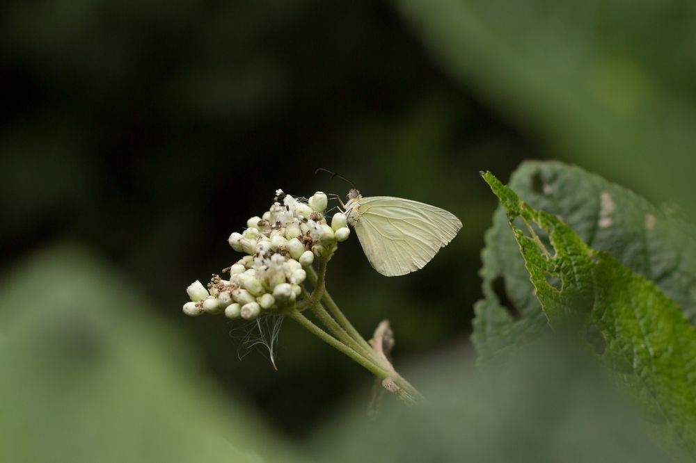 Photograph by Maria de los Angeles Osorio