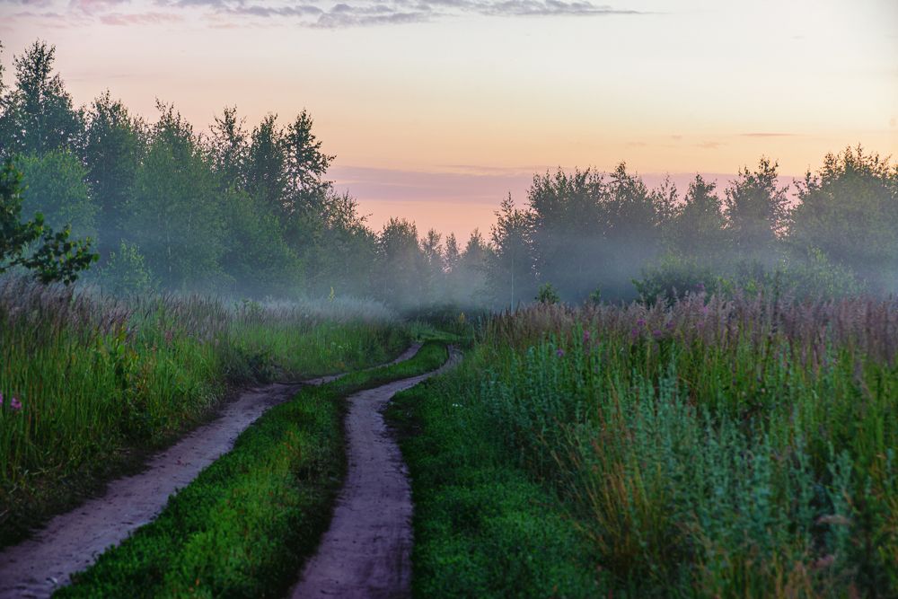 Photograph by Иван Курятников