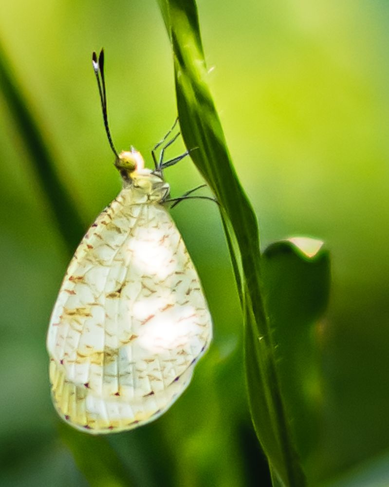 Photograph by Kumaran Nadeeshan
