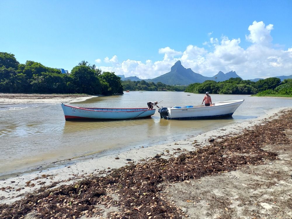 Photograph by Bruno FREDERIC