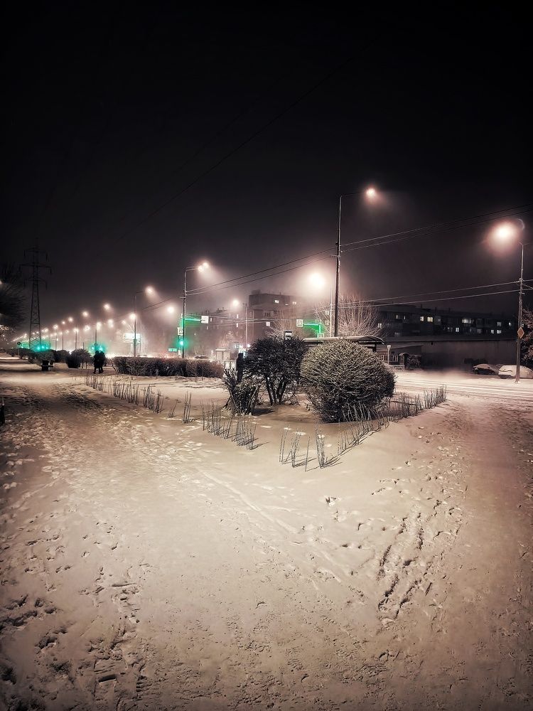 Photo #9335327
