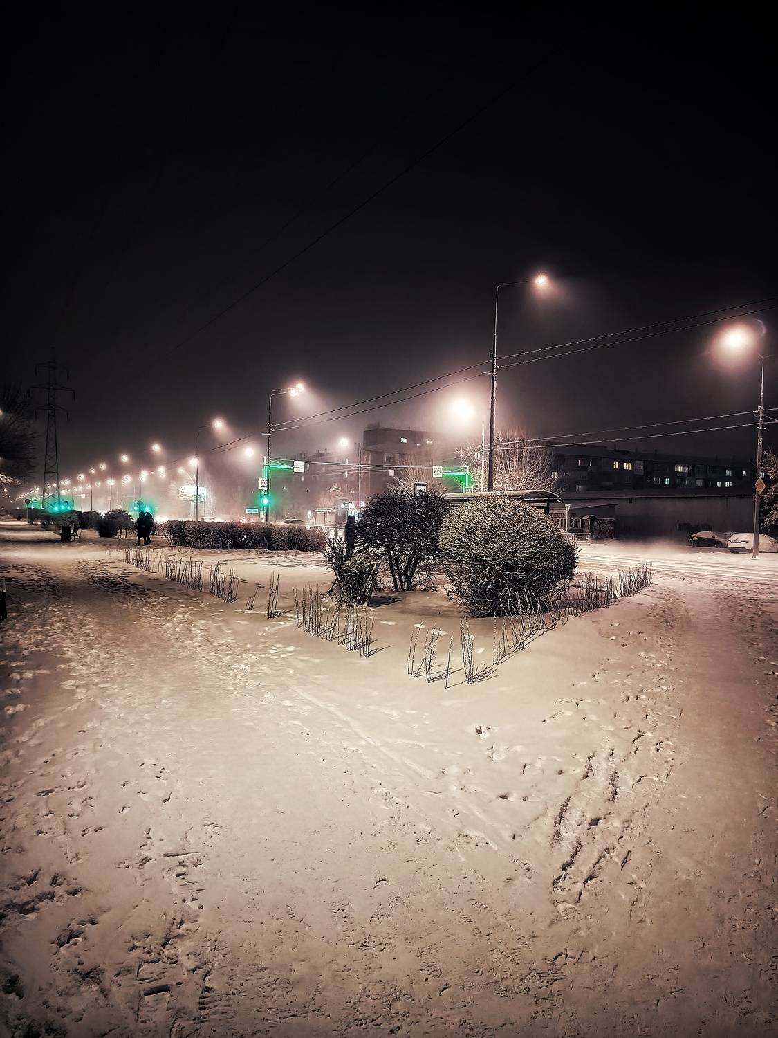 Photo #9335327
