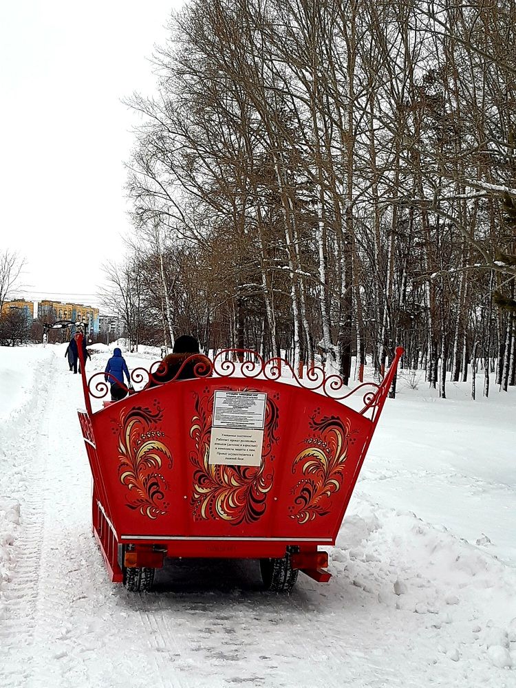 Фотография автора Наталья Шендяпина