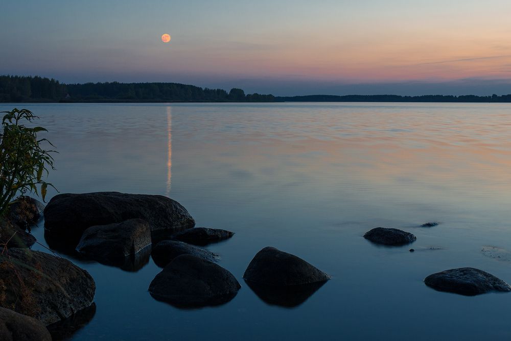 Photograph by Елена Потемина