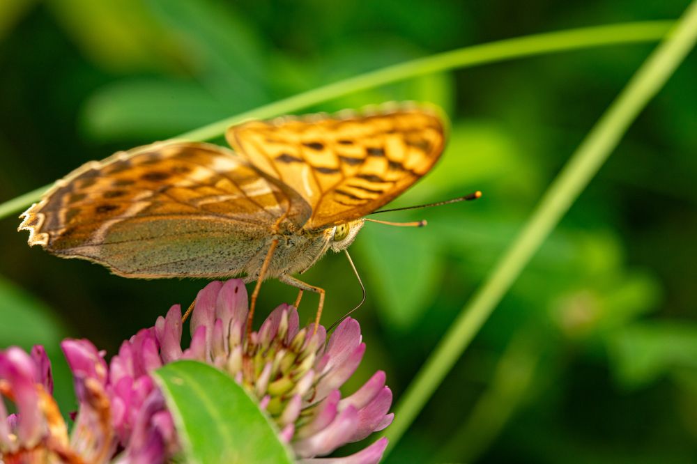 Photograph by Dmitriy Konstantinov