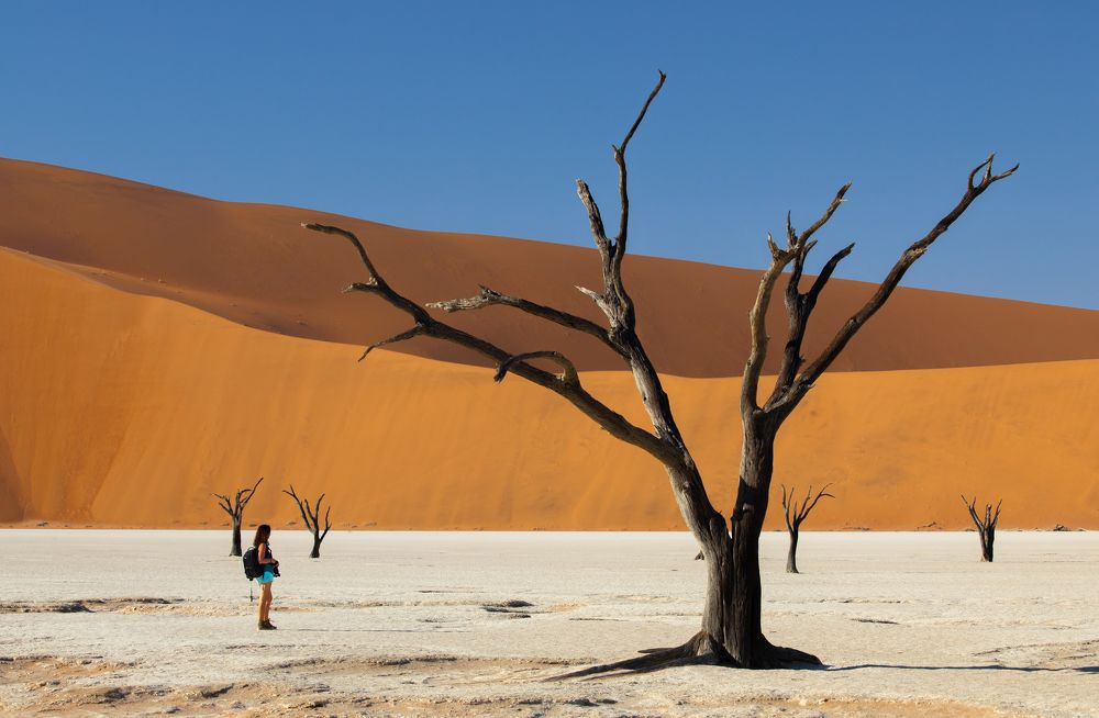 Photograph by Bevzenko Roman