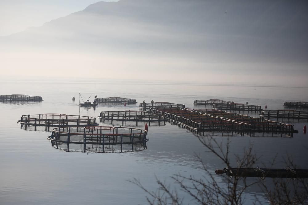 Photograph by Елена Хорошильцева