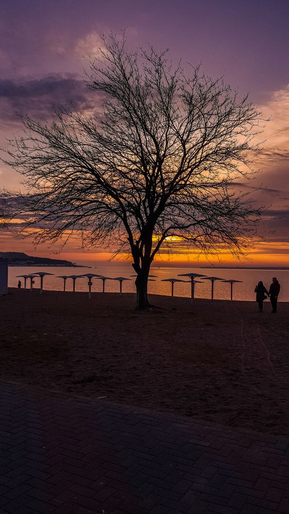 Photograph by Екатерина Мурсынина