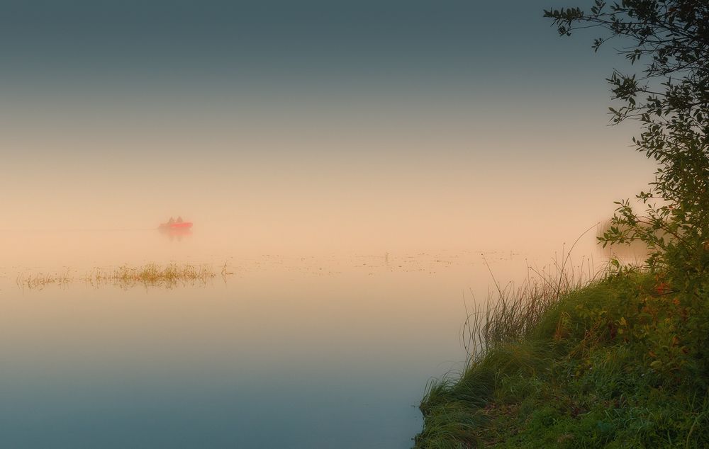 Photograph by Елена Потемина