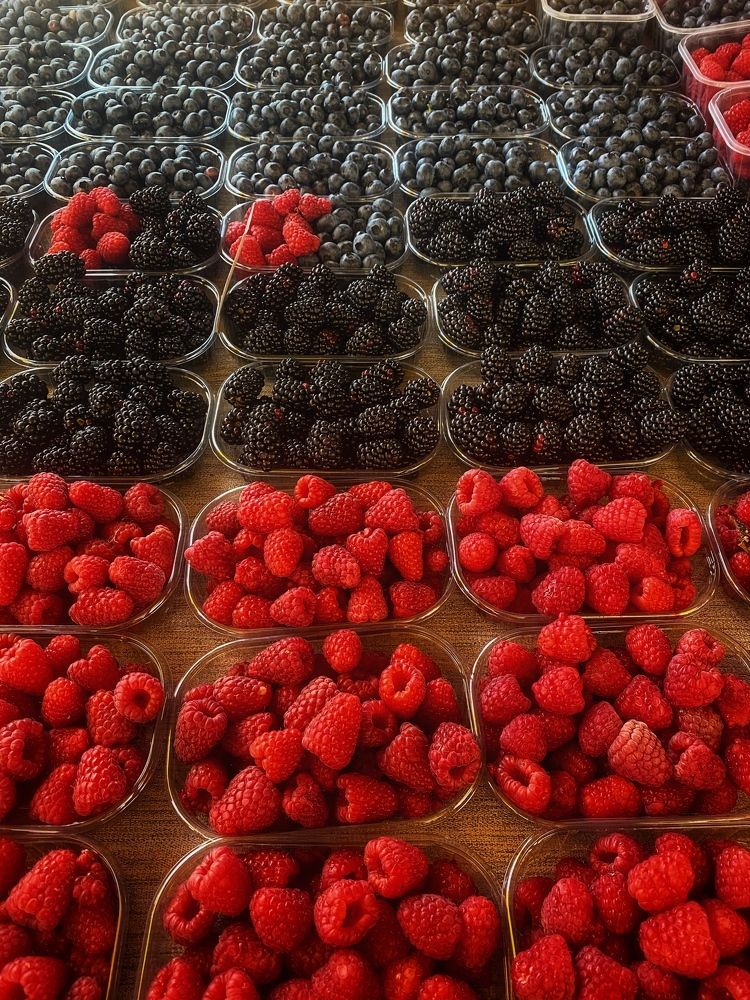 Photograph by Елена Хорошильцева