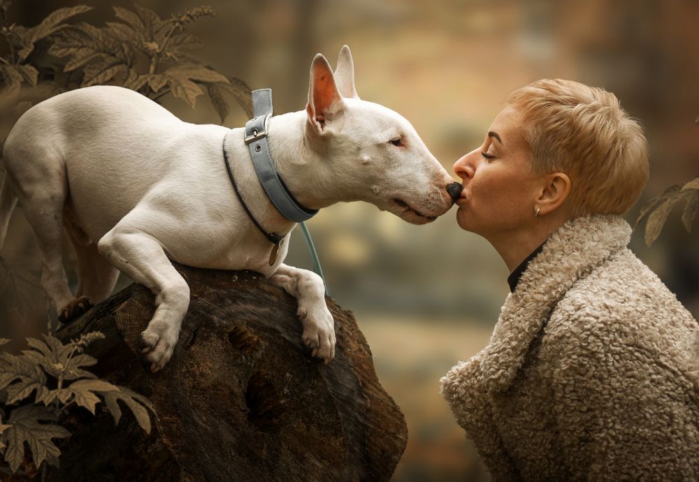 Фотография автора Елена Ушакова