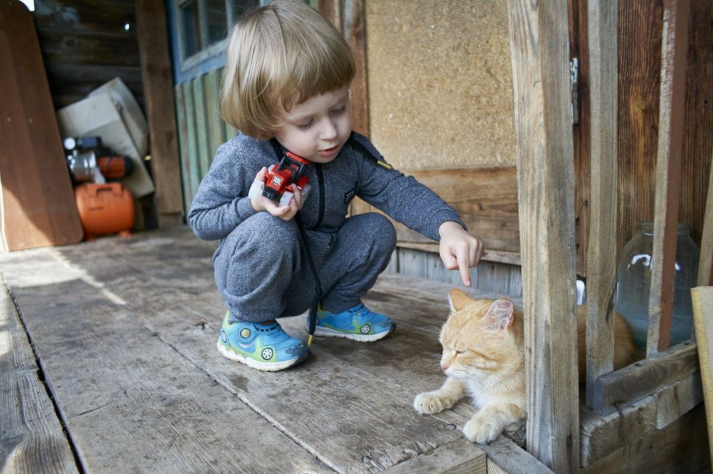 Photograph by Дмитрий Соколов