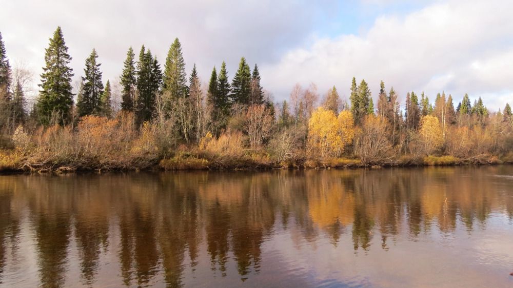 Photograph by Екатерина Филина