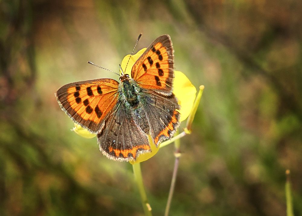 Photograph by Maria Zhdanova