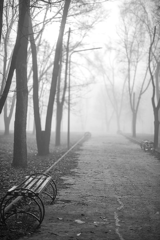 Photograph by Игорь Квочка