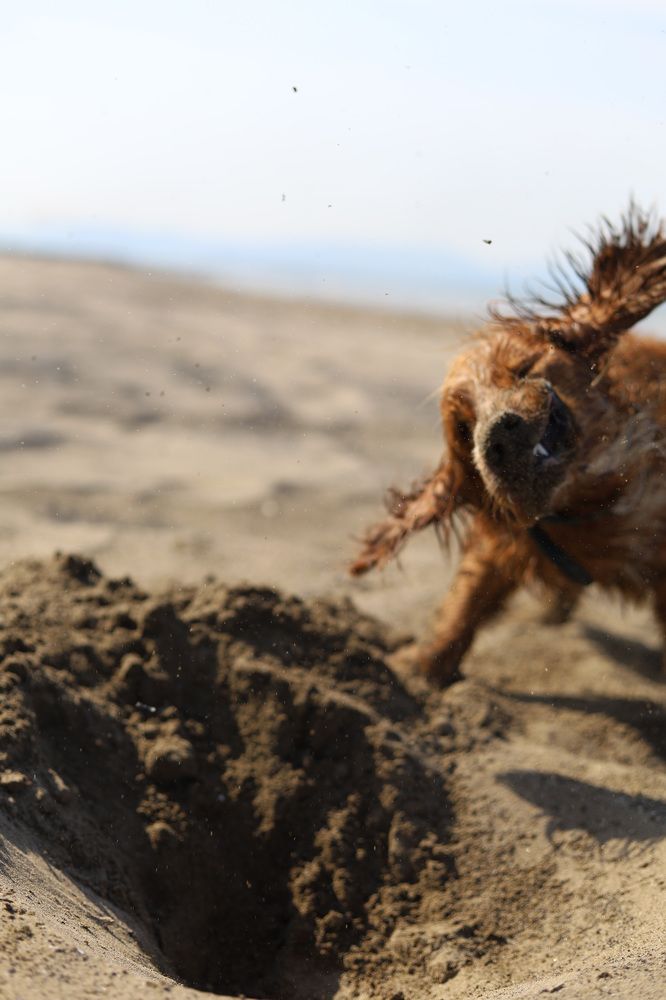 Photograph by Дарья Шестакова