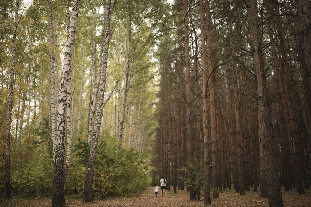 Photograph by Ирина Ситникова