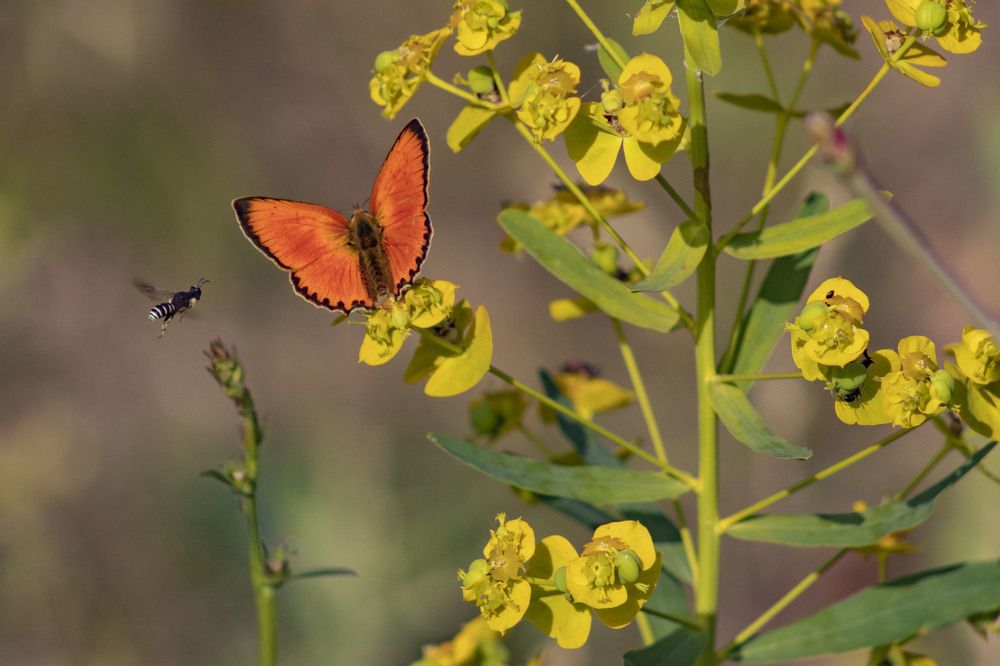 Photograph by Вера Почкалина