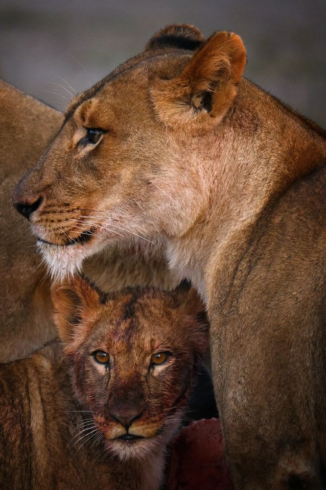 Photograph by Ирина Худзинская