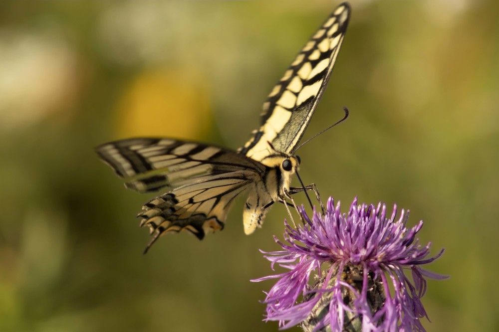 Photograph by Вера Почкалина