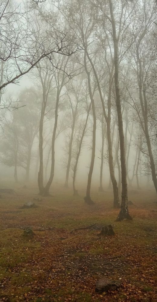 Photograph by Jose Antonio Novelle Cao