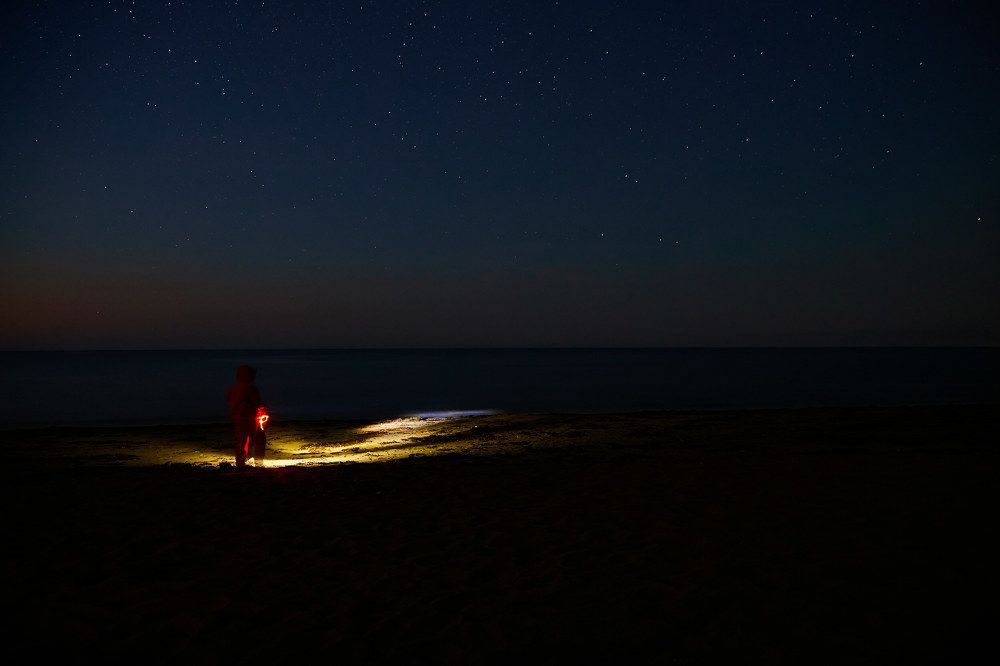 Фотография автора Бороненков Вадим