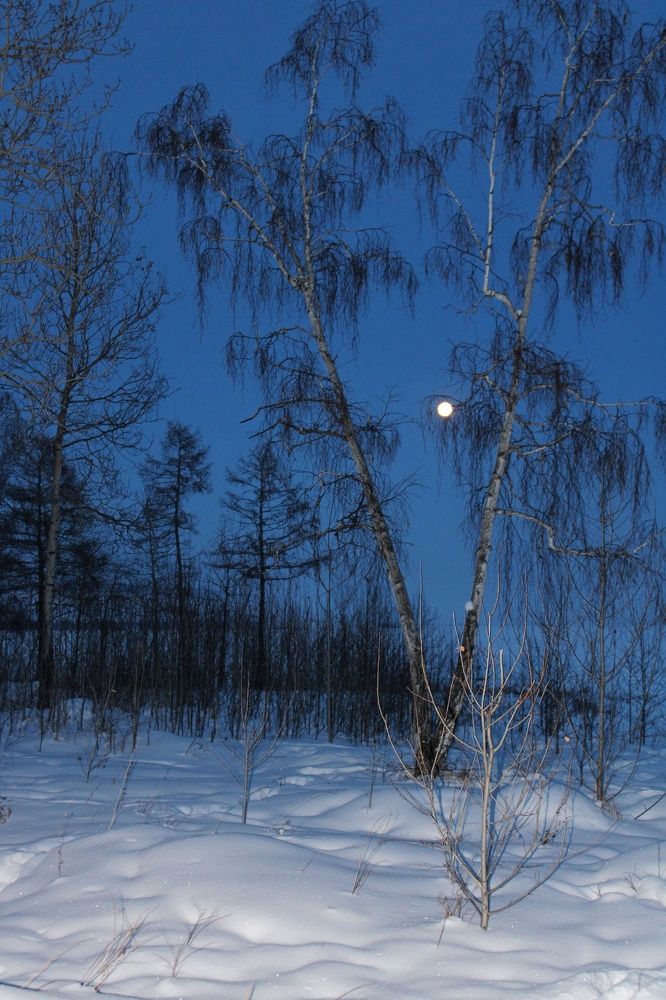 Photograph by Елена Кузнецова