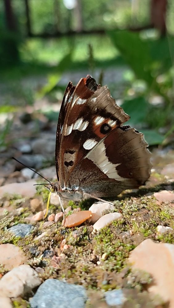 Photograph by Надежда
