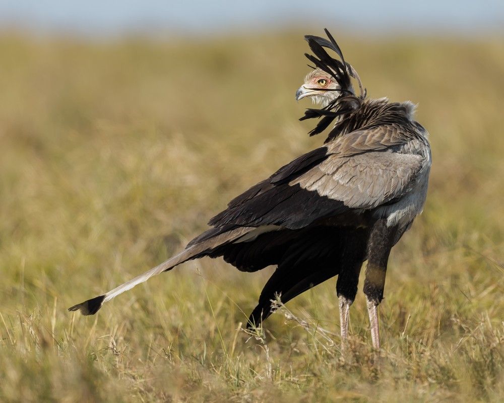 Photograph by Ahmed Sobhi