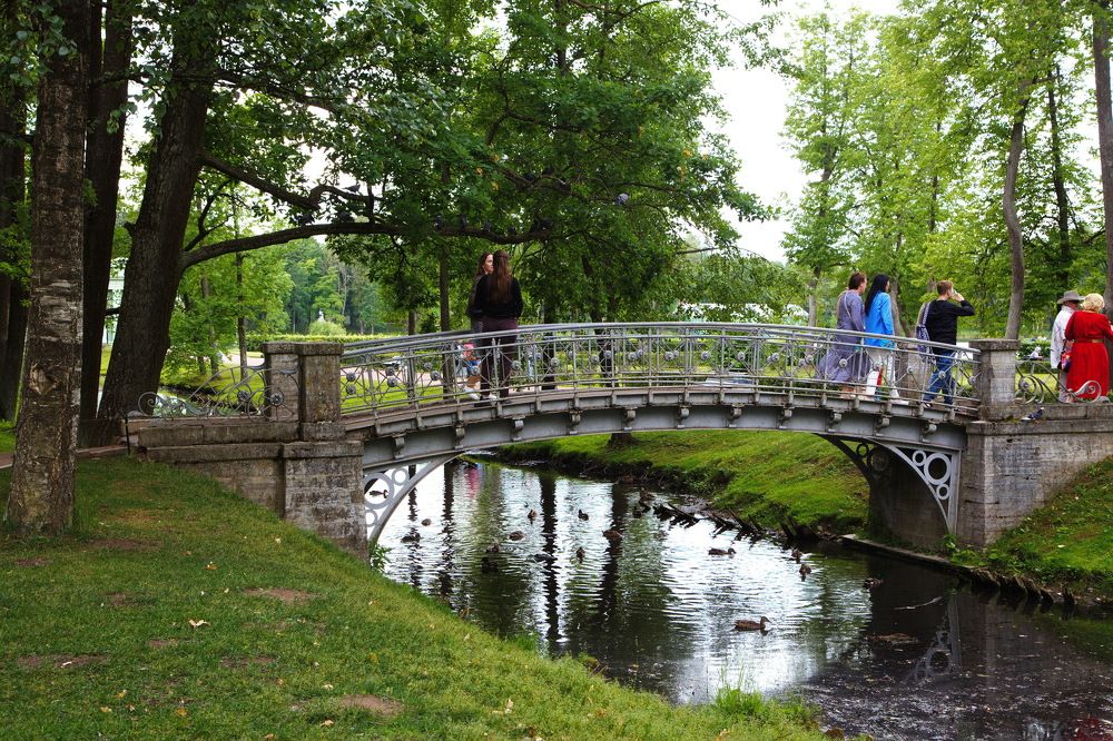 Photograph by Анатолий Протасов