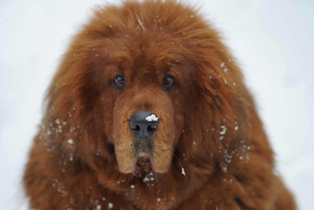 Photograph by Liubov Lagutina