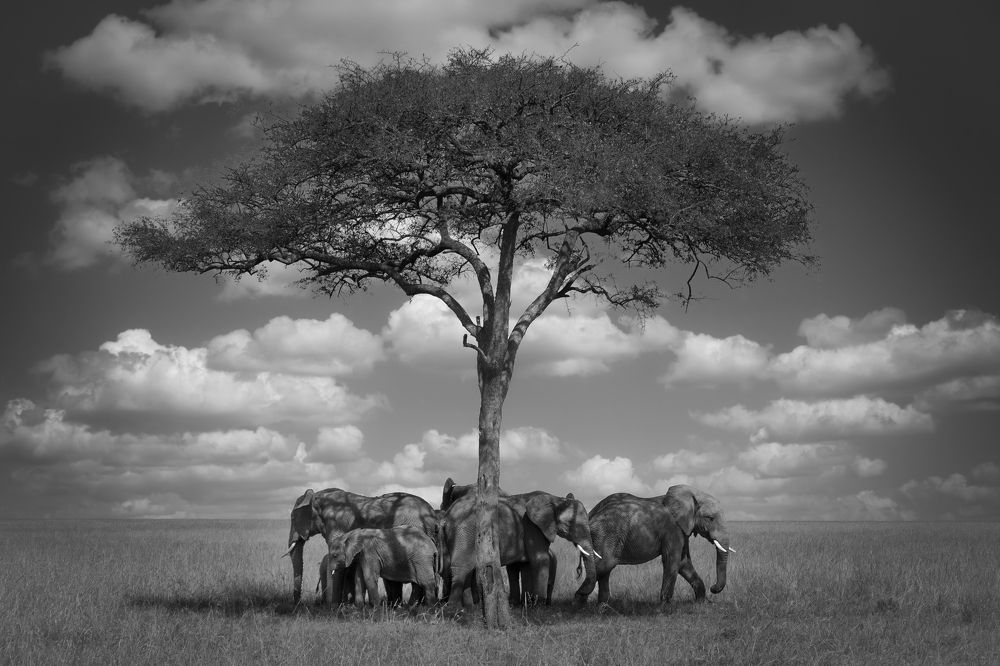 Photograph by Rémi Vacher