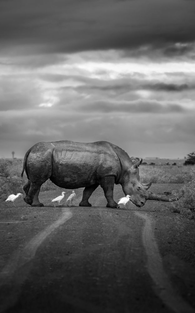 Photograph by Rémi Vacher