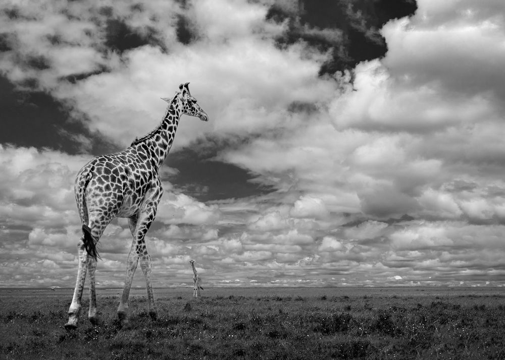 Photograph by Rémi Vacher