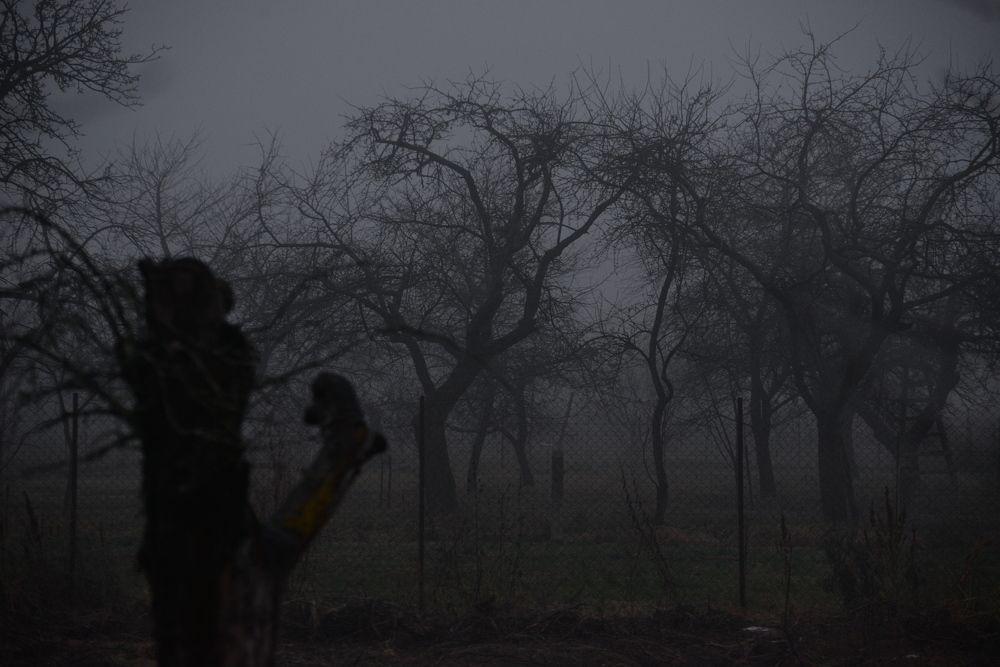 Фотография автора Ольга Круковская