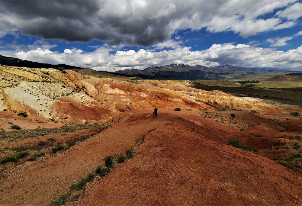 Фотография автора Елена Пикатова