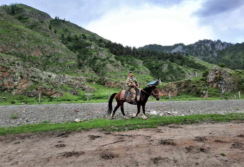 Фотография автора Елена Пикатова