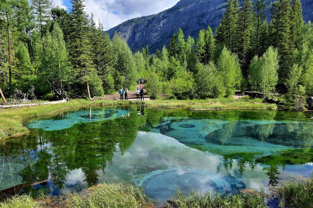 Фотография автора Елена Пикатова