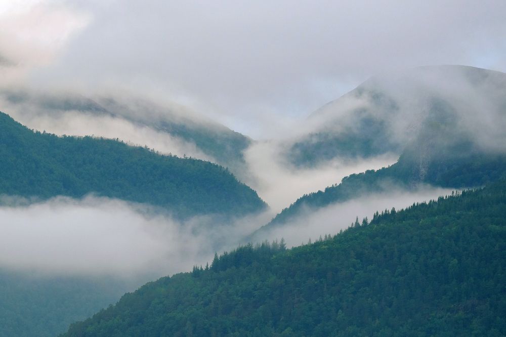 Photograph by Ирина Худзинская