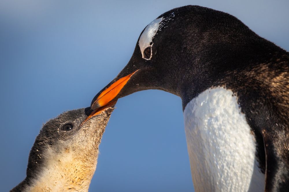 Photograph by Rémi Vacher