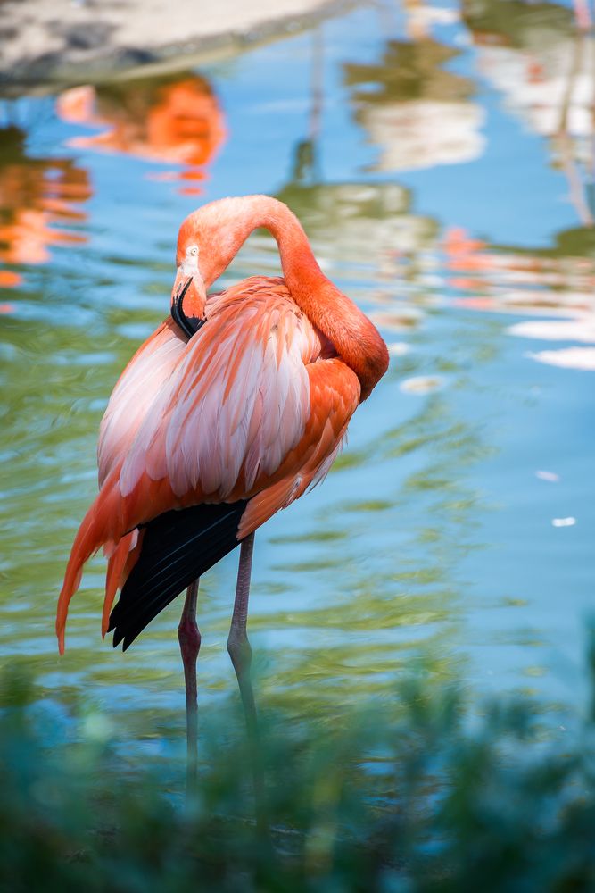 Фотография автора Ольга Круковская