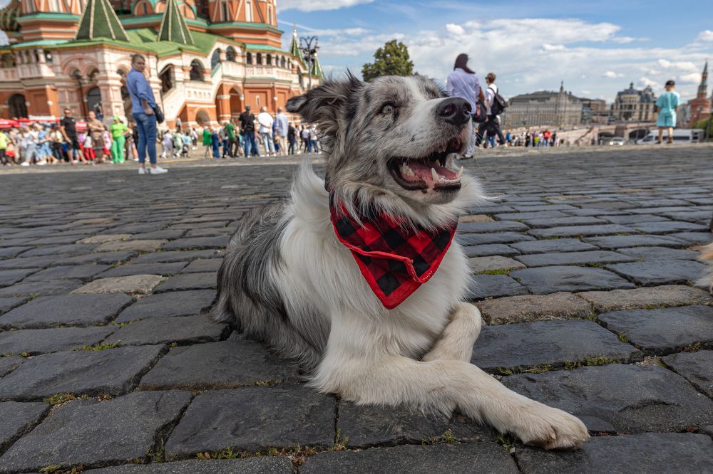 Photograph by Николай Лагоденко